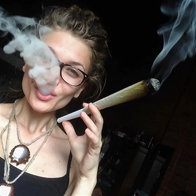 Cannabis Preroll: Industry Guide for Manufacturers & Retailers (2025)